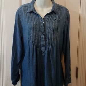 American Eagle Chambray Jegging Fit Long Sleeve